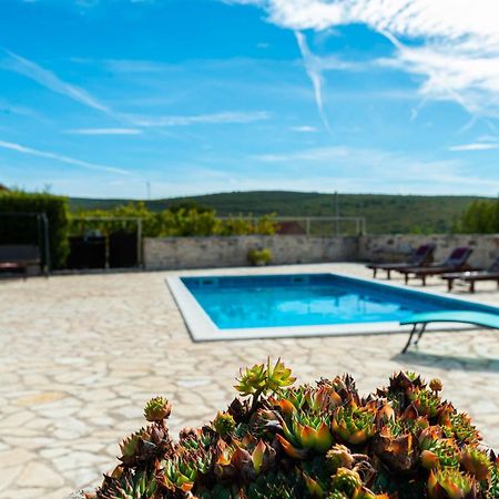 Dalmatian Country House Irena Bruska Exterior foto