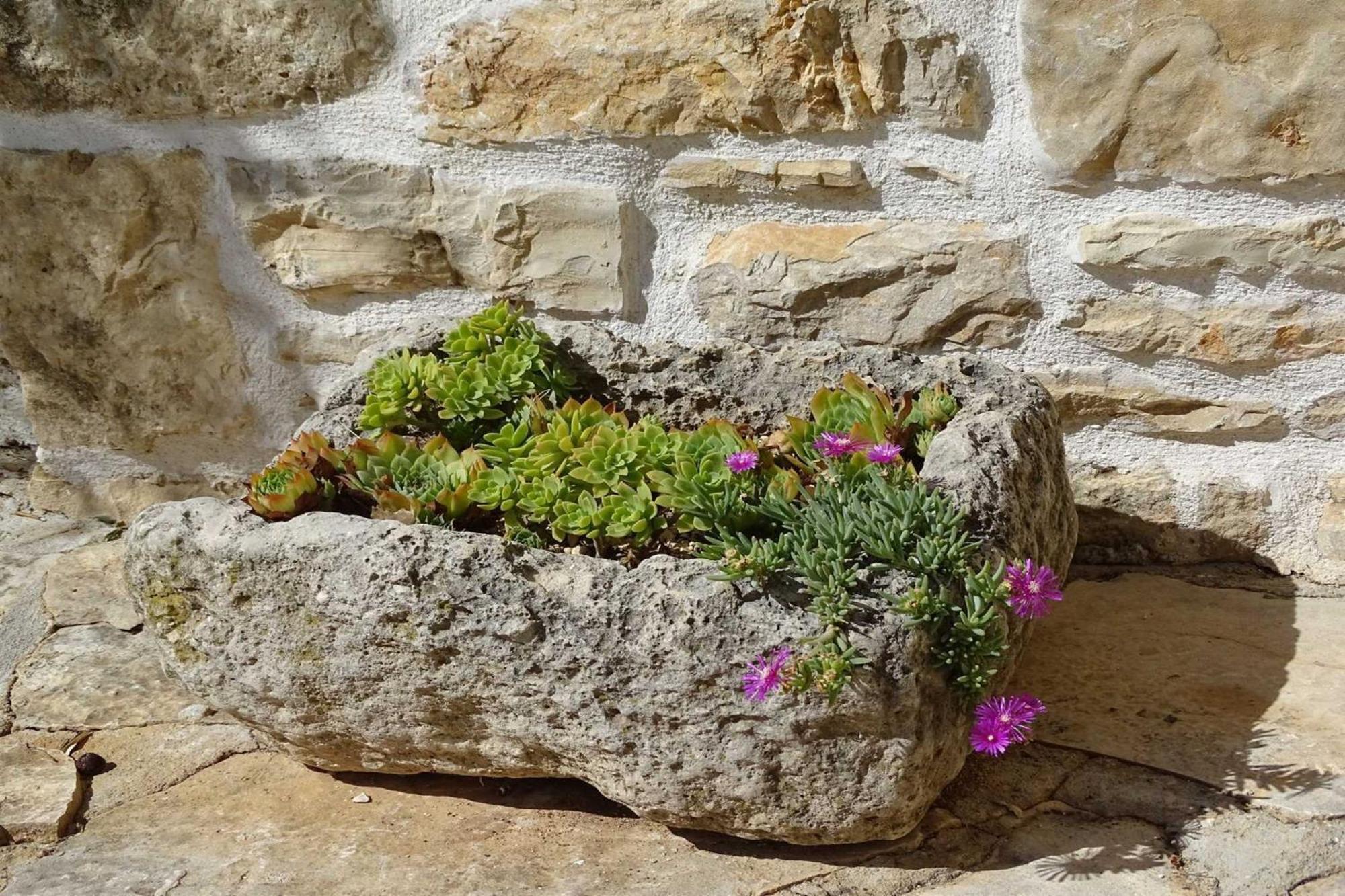Dalmatian Country House Irena Bruska Exterior foto