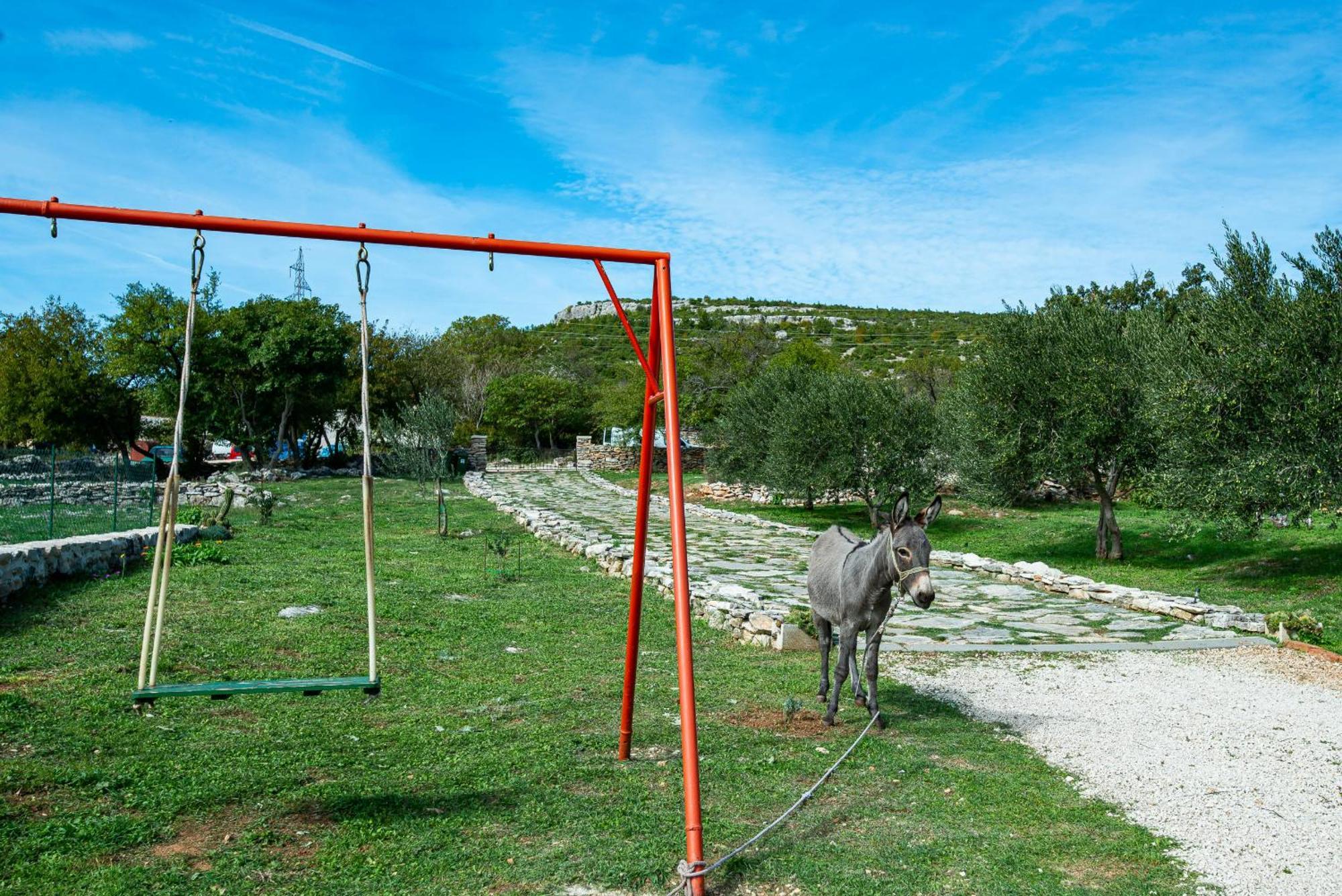 Dalmatian Country House Irena Bruska Exterior foto