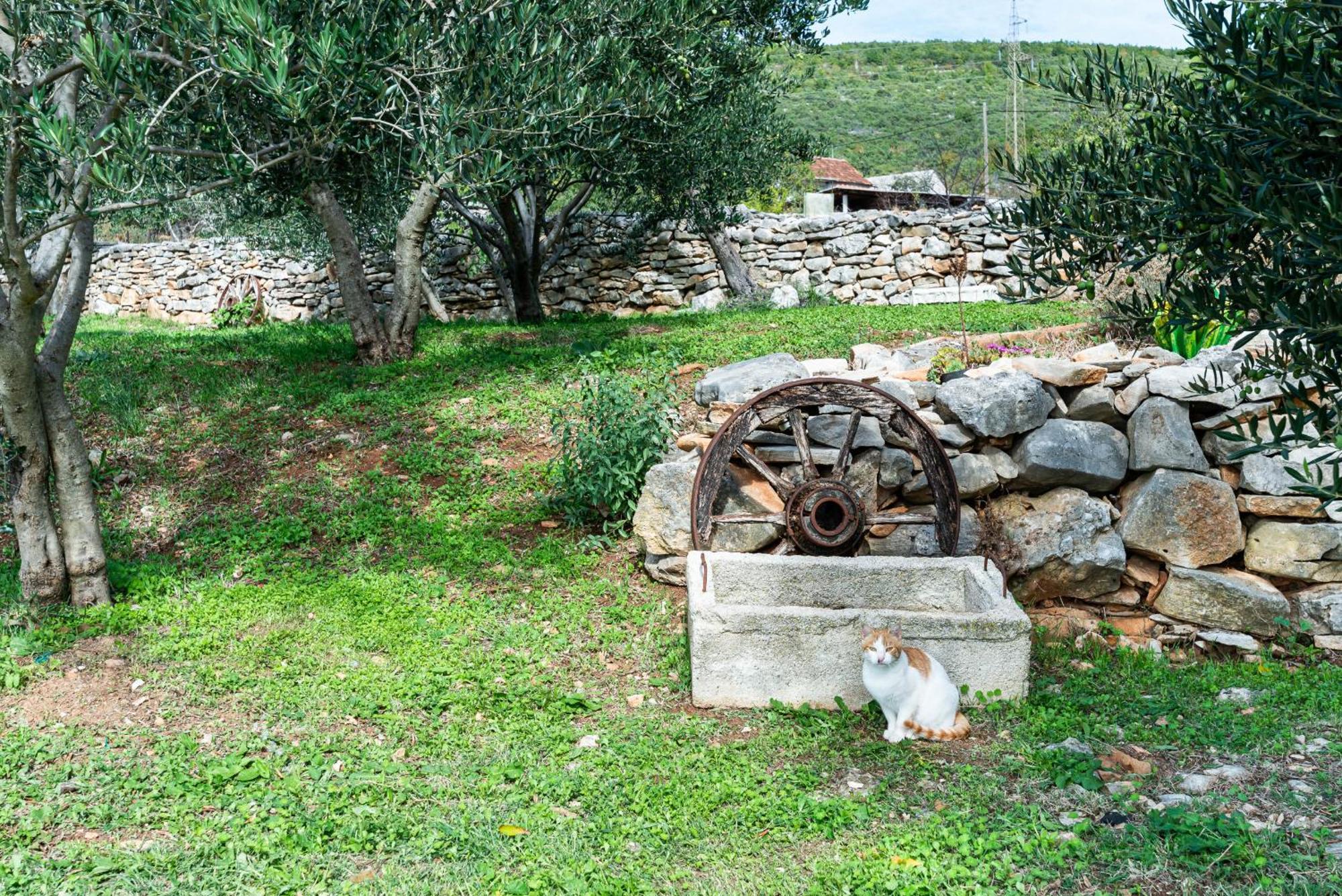 Dalmatian Country House Irena Bruska Exterior foto